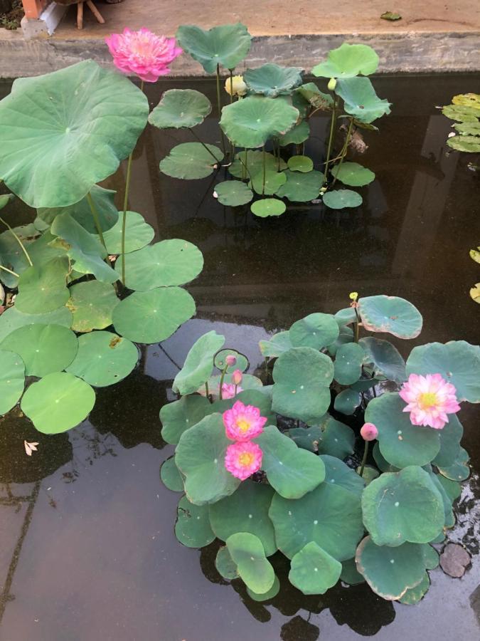 Leranda Homestay Hue Exteriör bild