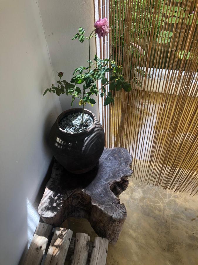Leranda Homestay Hue Exteriör bild