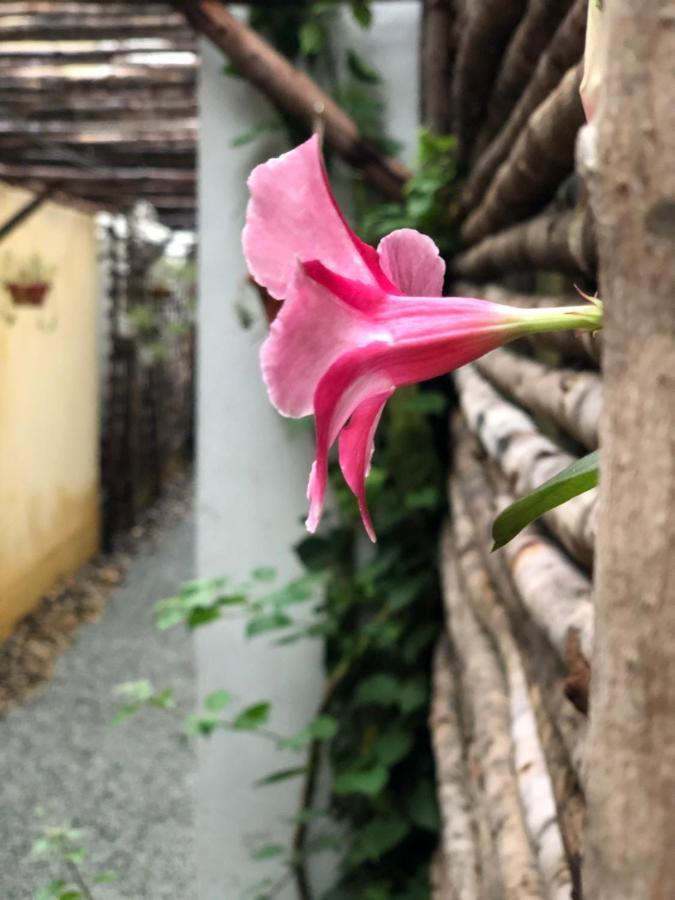 Leranda Homestay Hue Exteriör bild